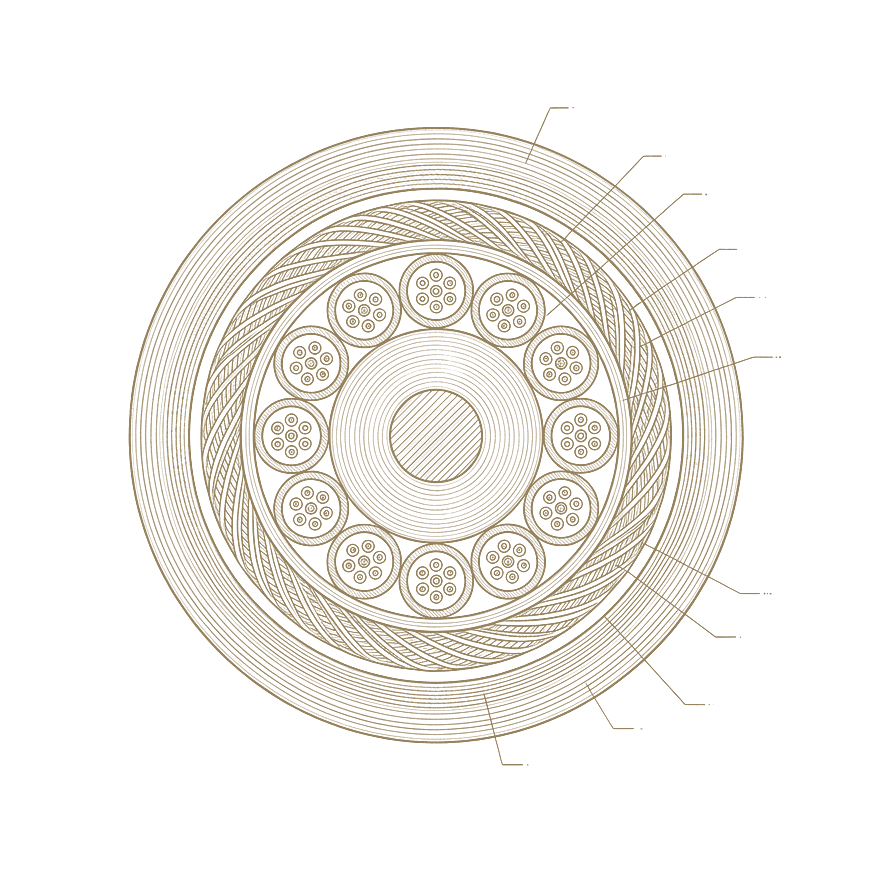 Ilustrație gravată: secțiune printr-un cablu de fibră optică